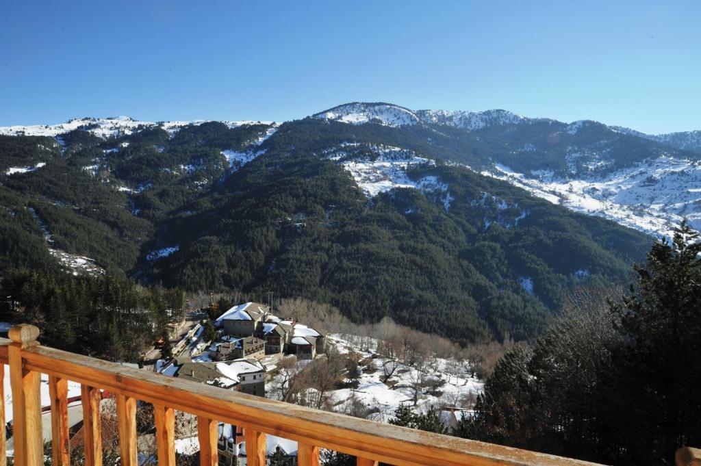 Hotel Anax Métsovo Rom bilde